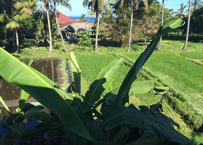 Kangkung Gasthuis Jasri