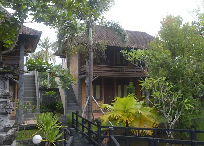 Kangkung 3*