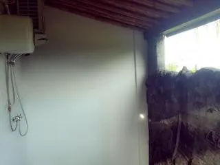 Kangkung 3*