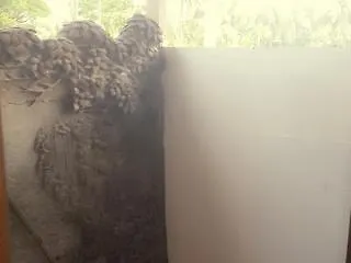 Kangkung Gasthuis Jasri